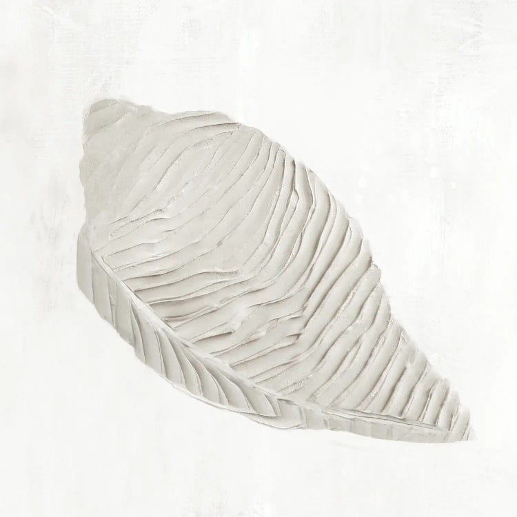 White Textured Shell I