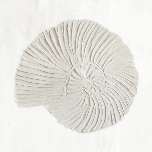 Sea Shells: White Textured Shell II by Hannah Dawson