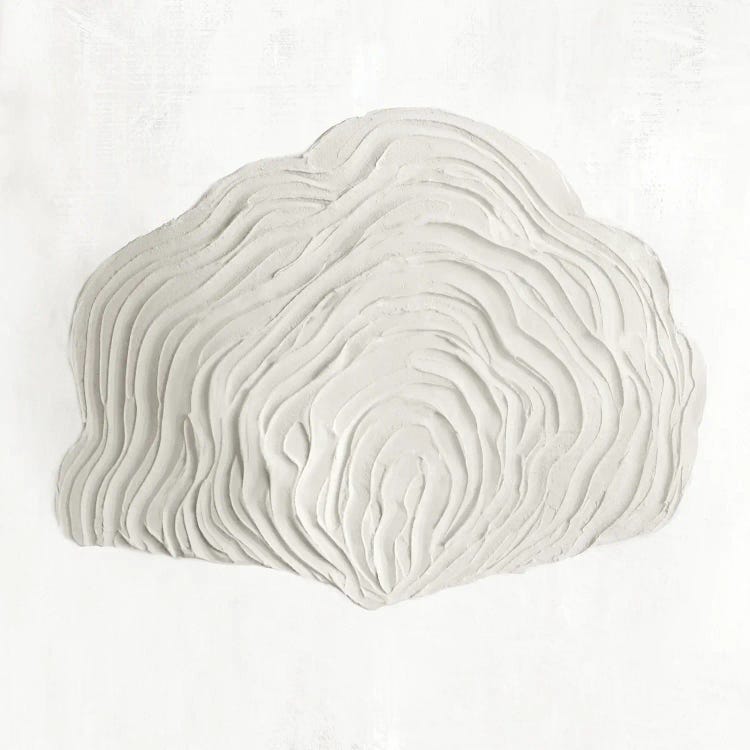 White Textured Shell III