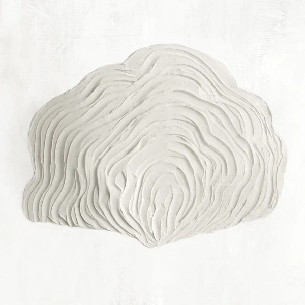 Sea Shells: White Textured Shell III by Hannah Dawson