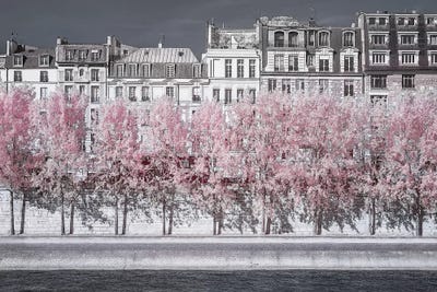 Pastel Town by Heather Grey art print