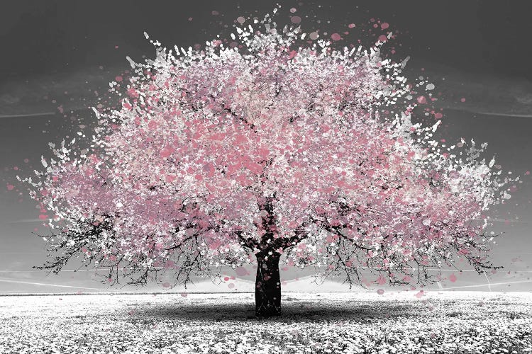 Pink Cherry Blossoms by Heather Grey wall art