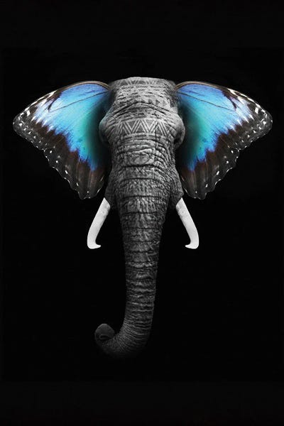 Blue Elephant Wings