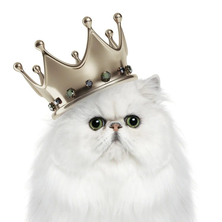 Kitty Queen