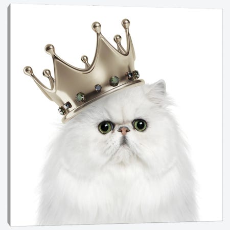 Kitty Queen Canvas Print #HHP28} by Heather Grey Art Print