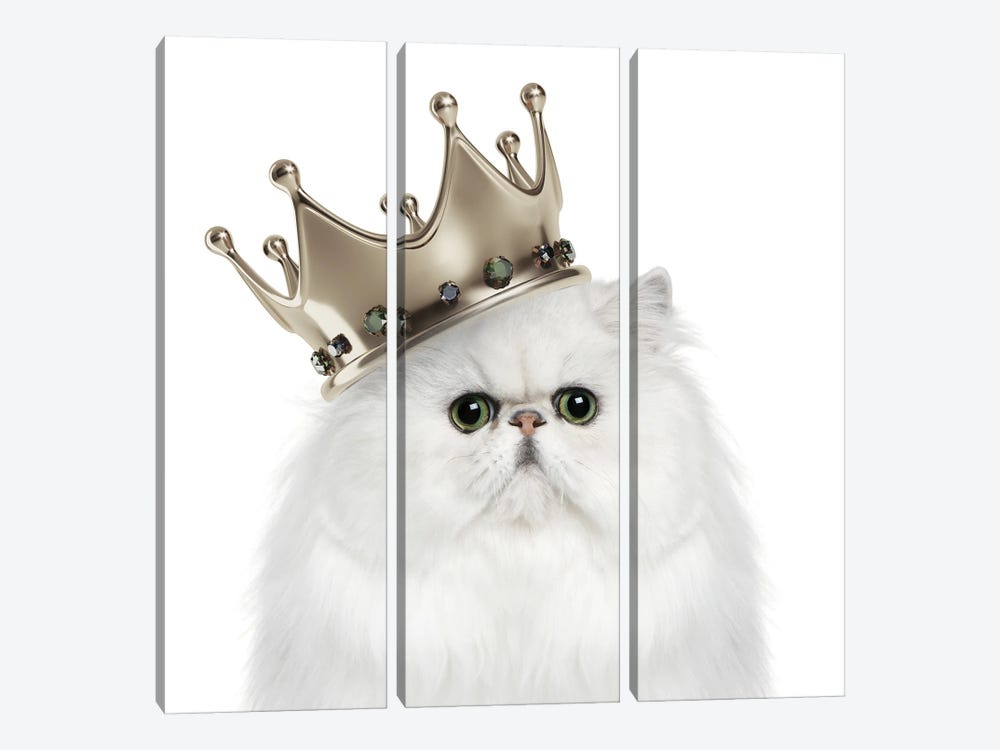 Kitty Queen by Heather Grey 3-piece Canvas Wall Art