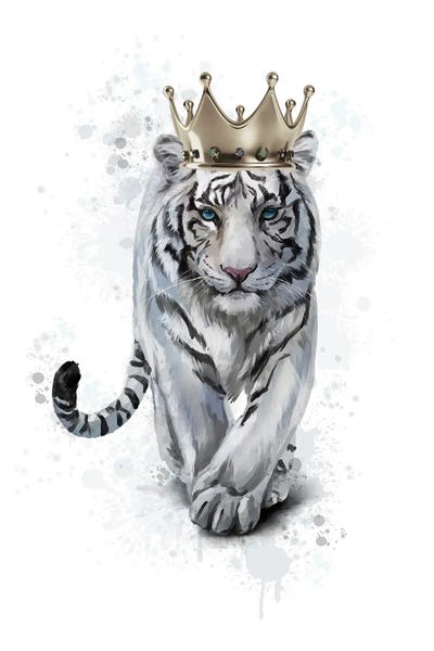 Tigers: White Tiger Queen by Heather Grey