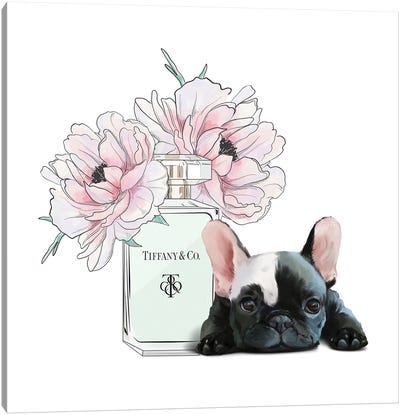 Cute Frenchie And Flowers Canvas Art Print - Perfume Bottle Art