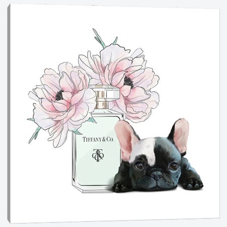 Cute Frenchie And Flowers Canvas Print #HHP54} by Heather Grey Canvas Print