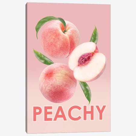 Peachy Framed Canvas Print #HHP80} by Heather Grey Canvas Art Print