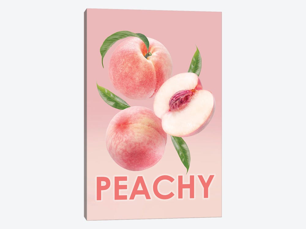 Peachy Framed by Heather Grey 1-piece Canvas Wall Art