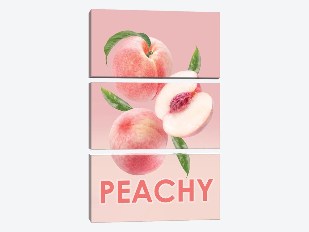 Peachy Framed by Heather Grey 3-piece Canvas Wall Art