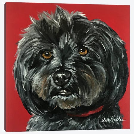 Bentley The Yorkipoo Canvas Print #HHS104} by Hippie Hound Studios Canvas Art