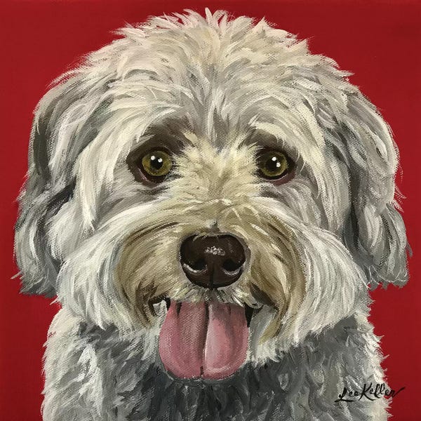 Hippie Hound Studios: Bentley The Havanese by Hippie Hound Studios