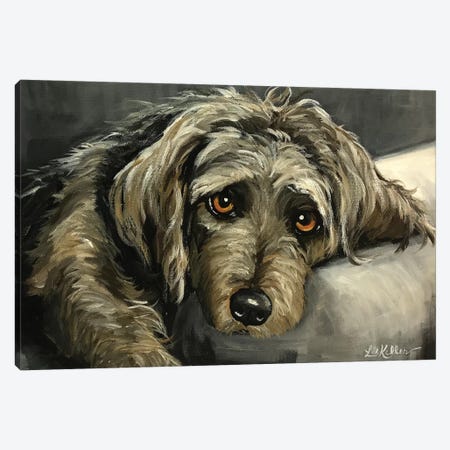 Cairn Terrier Canvas Print #HHS106} by Hippie Hound Studios Canvas Art