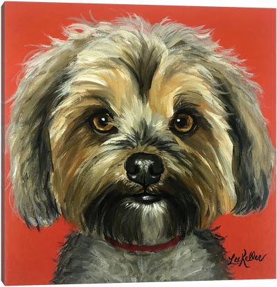 Murphy The Yorkie Canvas Art Print - Yorkshire Terrier Art