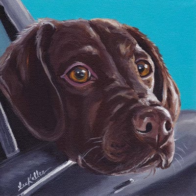 Chocolate Lab In Car by Hippie Hound Studios framed wall art
