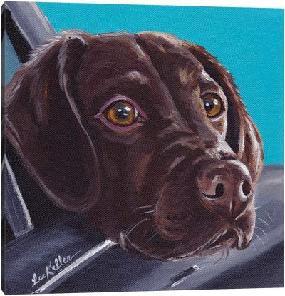 Chocolate Lab In Car Canvas Art Print - Labrador Retriever Art