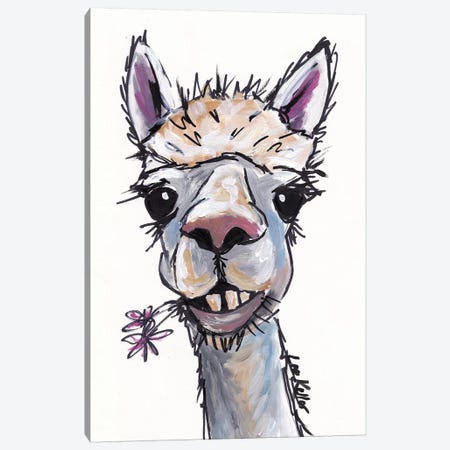 Diesel The Alpaca Canvas Print #HHS112} by Hippie Hound Studios Canvas Art