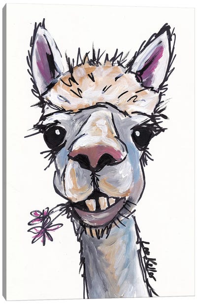 Diesel The Alpaca Canvas Art Print - Hippie Hound Studios