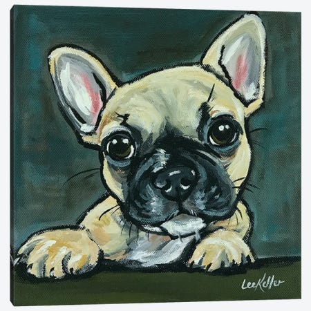 Frenchie Pup I Canvas Print #HHS113} by Hippie Hound Studios Canvas Wall Art
