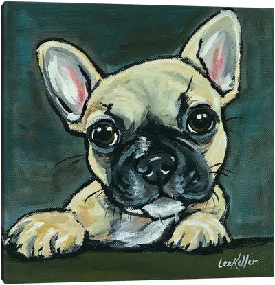 Frenchie Pup I Canvas Art Print - French Bulldog Art
