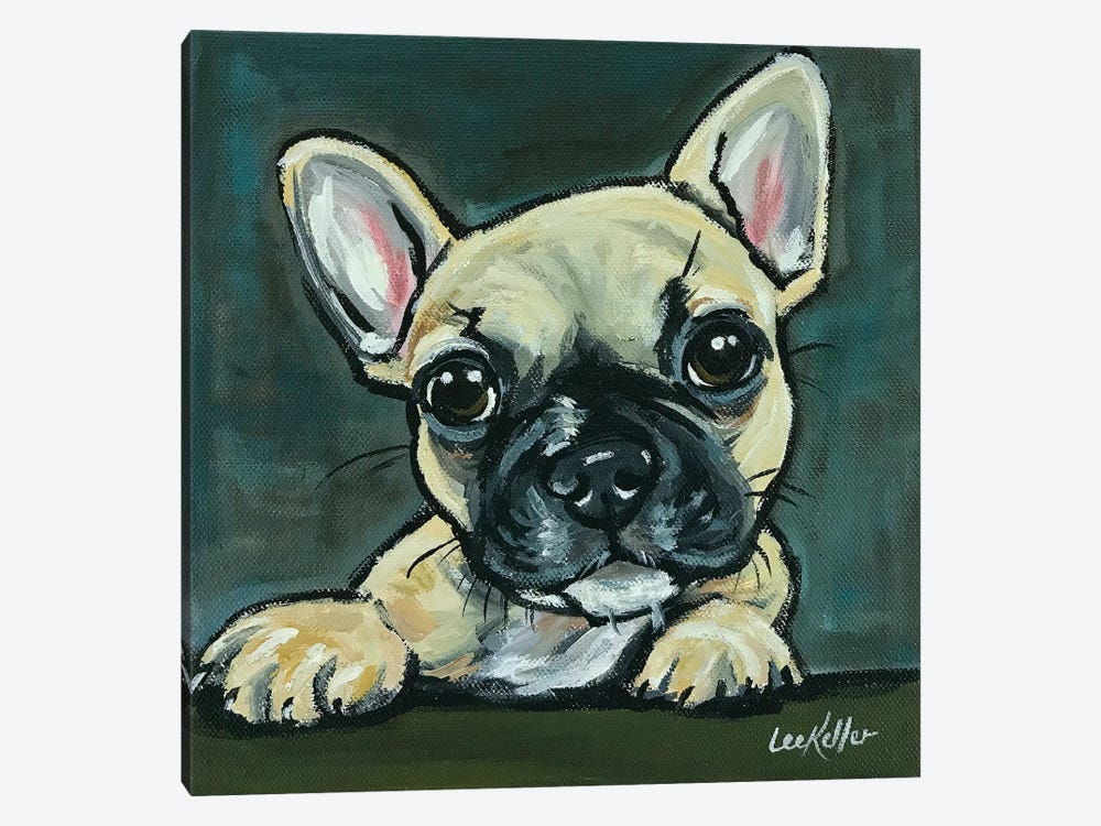 Frenchie Pup I 1-piece Canvas Artwork