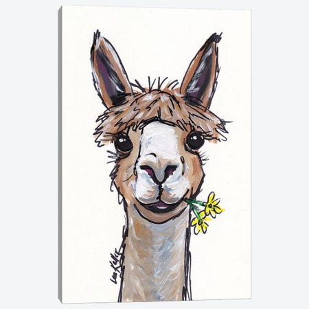 Lycoming The Alpaca Canvas Print #HHS118} by Hippie Hound Studios Canvas Artwork