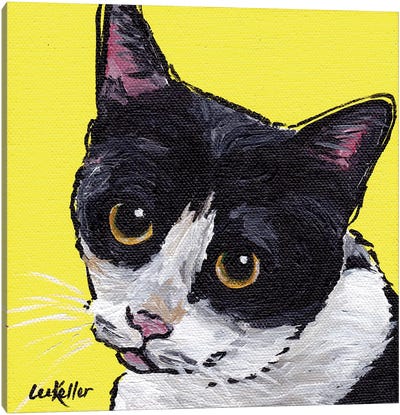 Cat Tuxedo Canvas Art Print - Tuxedo Cat Art