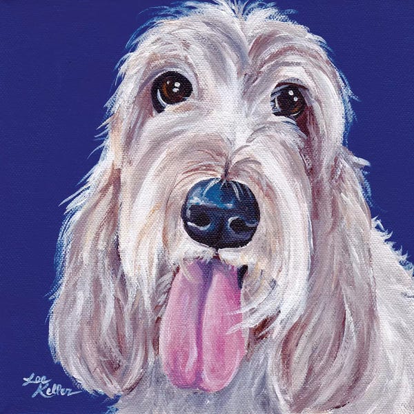 Hippie Hound Studios: Olive The Grand Basset Griffon Vendeen by Hippie Hound Studios