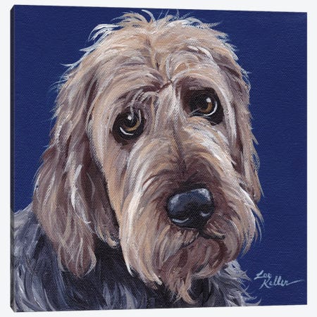 Otterhound II Canvas Print #HHS122} by Hippie Hound Studios Canvas Print