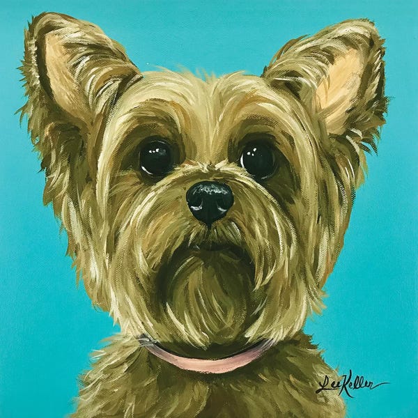 Terriers: Yorkie On Aqua by Hippie Hound Studios