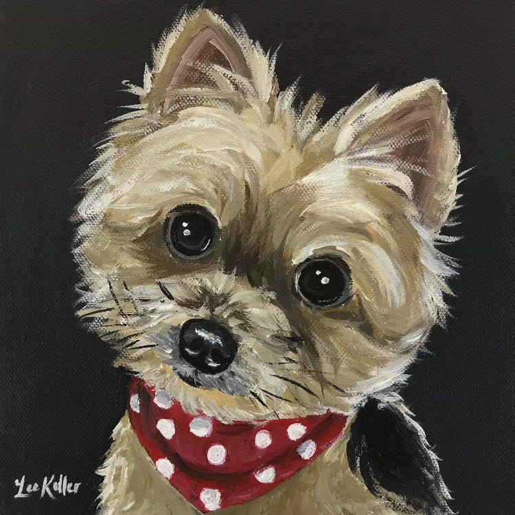 Yorkie Wearing Red Bandana