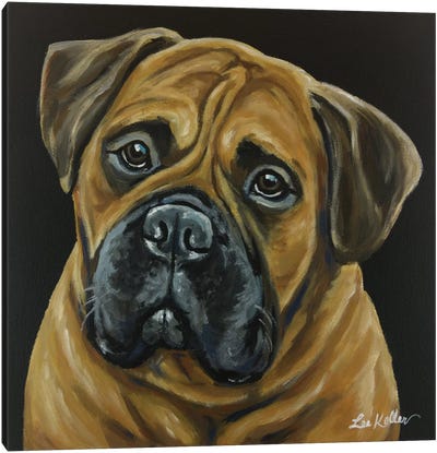 Bull Mastiff Canvas Art Print - Bullmastiff Art