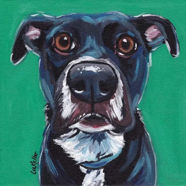 Expressive Black Dog On Emerald by Hippie Hound Studios wall art