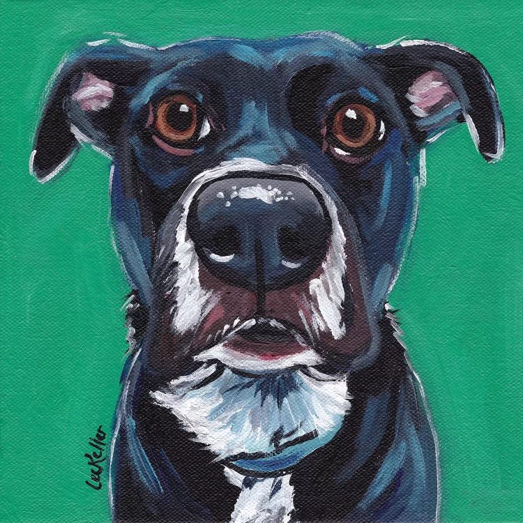 Expressive Black Dog On Emerald