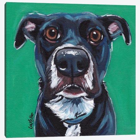 Expressive Black Dog On Emerald Canvas Print #HHS138} by Hippie Hound Studios Canvas Wall Art