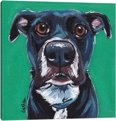 Expressive Black Dog On Emerald Canvas Art Print - Mutts
