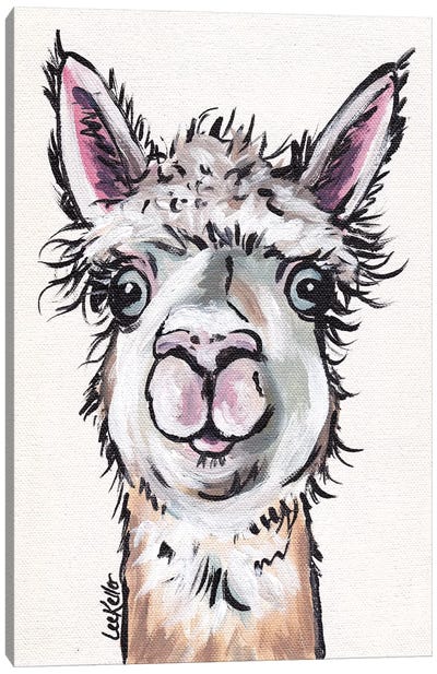 Maggie The Alpaca Canvas Art Print - Llama & Alpaca Art