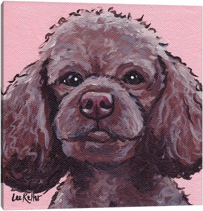 Maggie The Poodle On Pink Canvas Art Print - Black & Pink