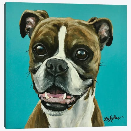 Major The Boxer On Turquoise Canvas Print #HHS142} by Hippie Hound Studios Art Print