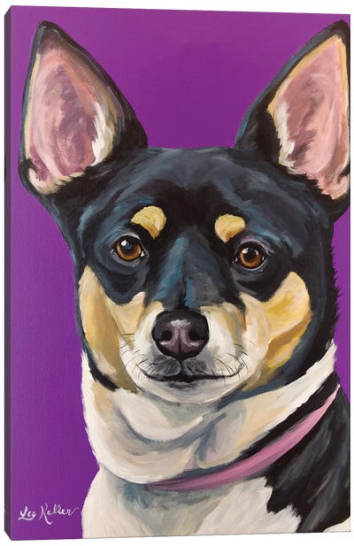 Rat Terrier On Purple Canvas Art Print