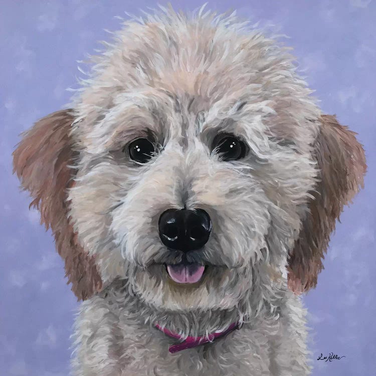 Rosie The Goldendoodle by Hippie Hound Studios wall art