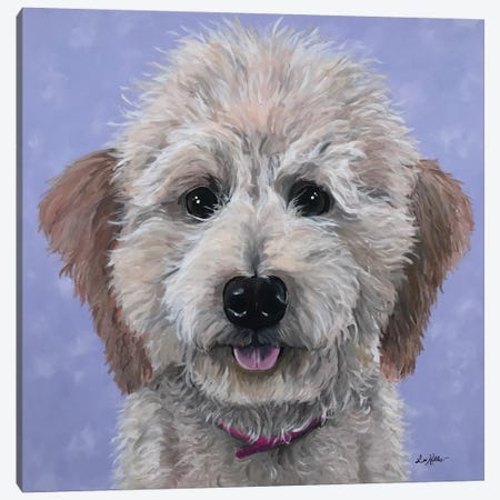 Rosie The Goldendoodle Canvas Print #HHS147} by Hippie Hound Studios Canvas Wall Art