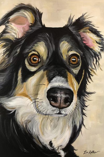 Australian Shepherd Sophie by Hippie Hound Studios framed wall art