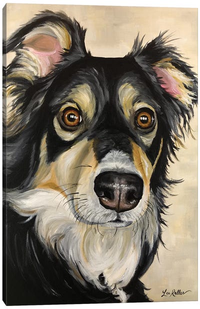 Australian Shepherd Sophie Canvas Art Print - Australian Shepherd Art