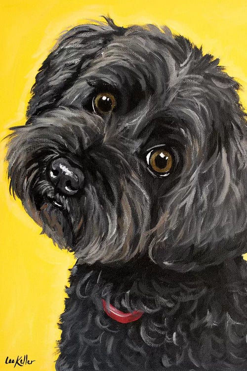 Millie Yorkie Poo by Hippie Hound Studios wall art