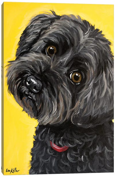Millie Yorkie Poo Canvas Art Print - Yorkshire Terrier Art