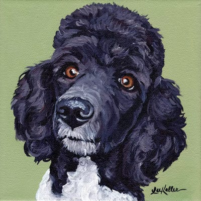 Standard Poodle Tommy by Hippie Hound Studios metal wall art