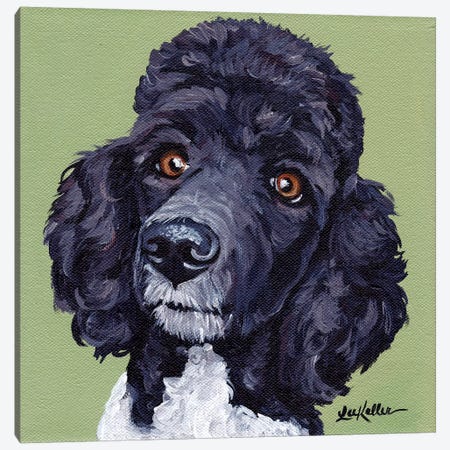 Standard Poodle Tommy Canvas Print #HHS166} by Hippie Hound Studios Canvas Art